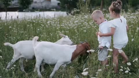 Babies caring his pet animals.