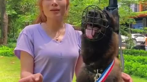 Dog training video