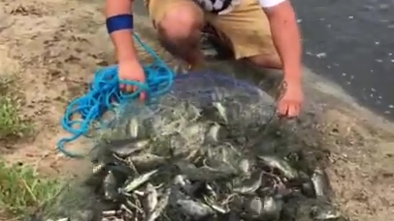 Fishing by net in small river