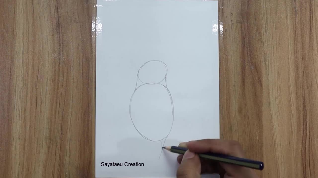 How to draw a Bird Scenery with pencil step by step, Pencil Drawing for beginners