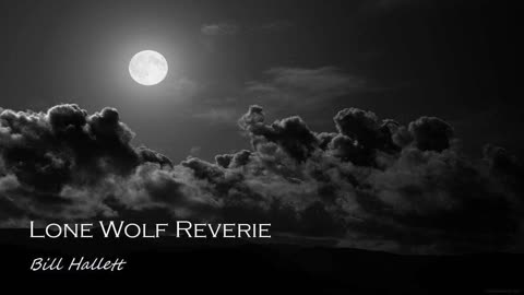 Lone Wolf Reverie