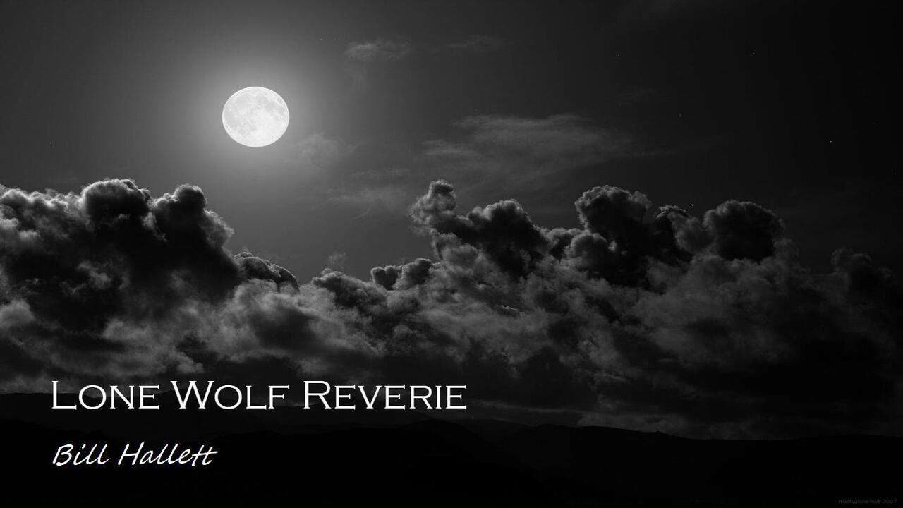 Lone Wolf Reverie