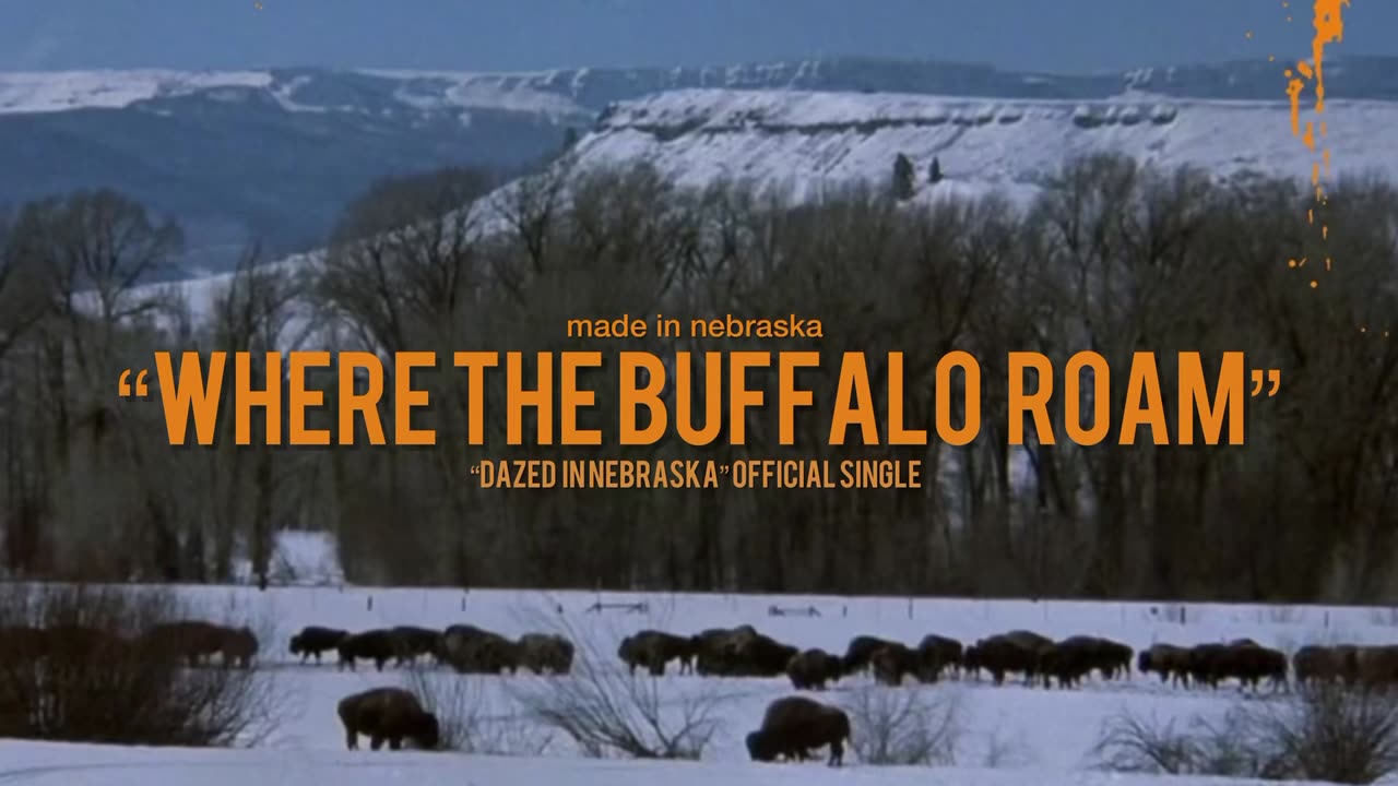 Made In Nebraska- Where The Buffalo Roam