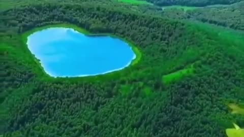 Nature short video