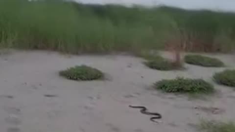 যারা আফতাবনগর কাশবন এ ঘুরতে জান তারা সাবধান