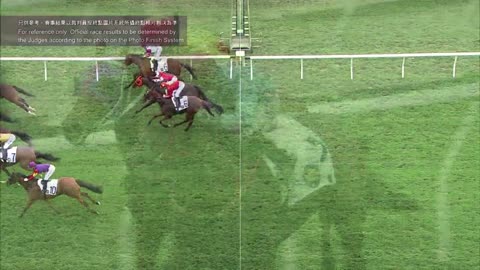 Horce_Race_2022050706_English