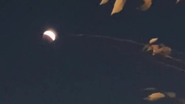 Phenomenon of Lunar Eclipse