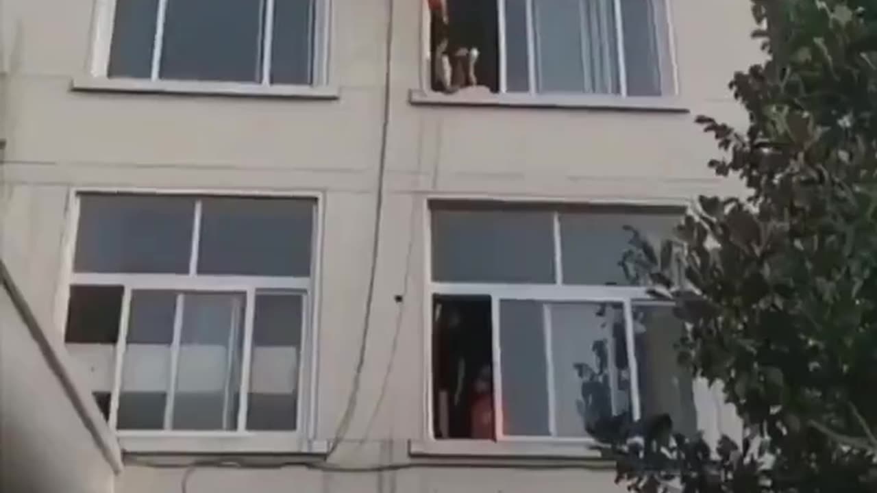 Firemen kicking suicidal people away from the edge