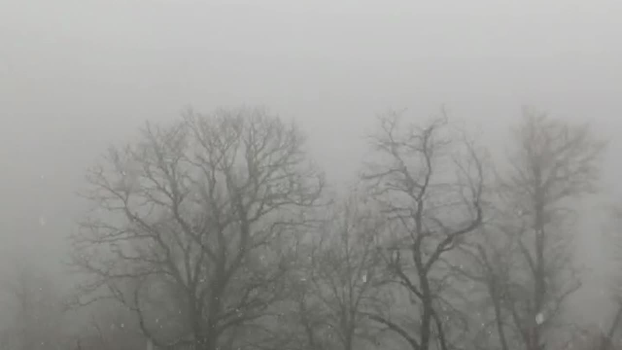 Droplets Of Water Sliding Upwards In Slow Motion