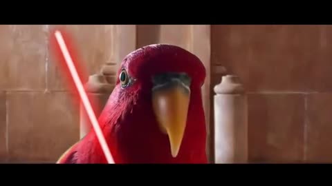 Red bird star wars meme