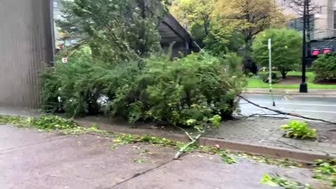 'Leave now' says Canadian mayor as hurricane hits