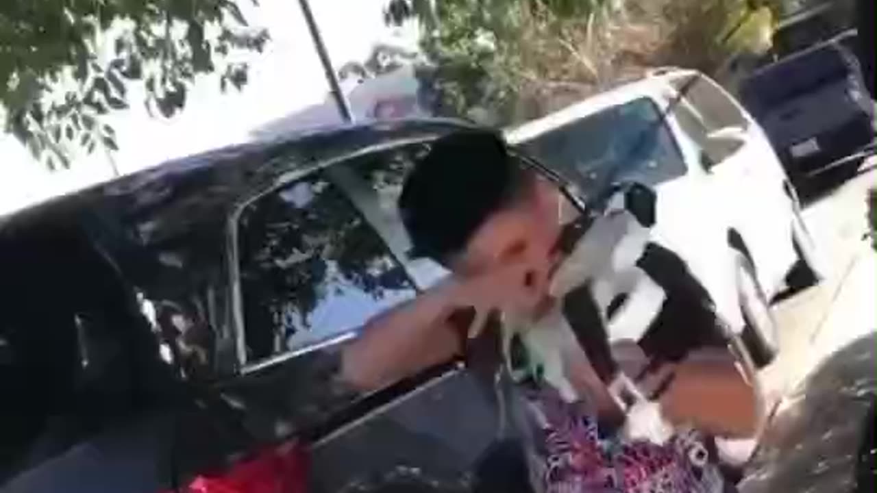Great Talented Boy