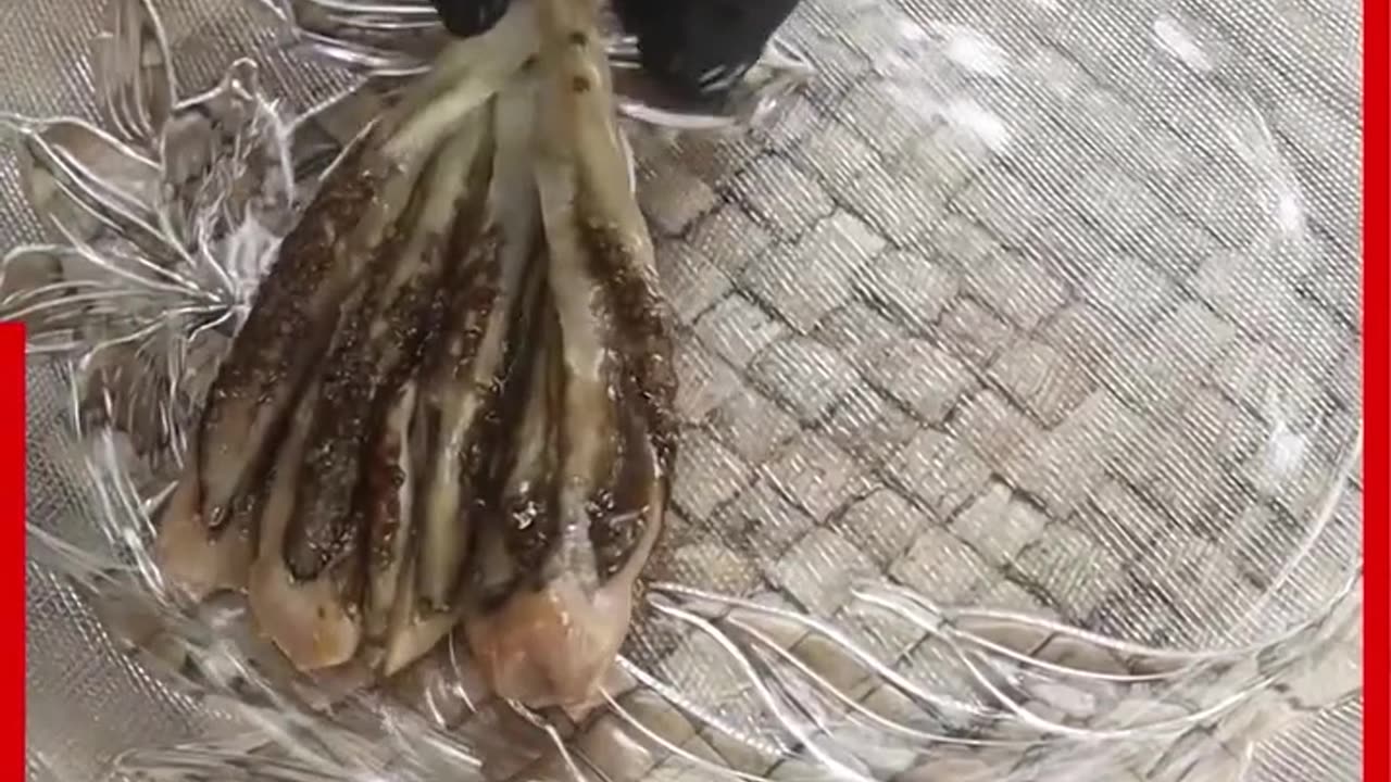 ROASTED EGGPLANT FOOD - CAMBO πππΆππ