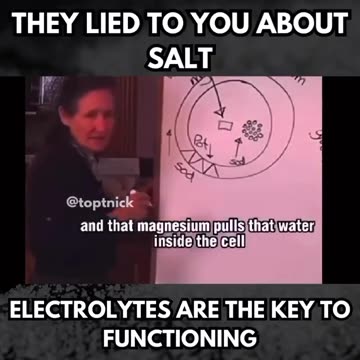 "They" lied about 🧂