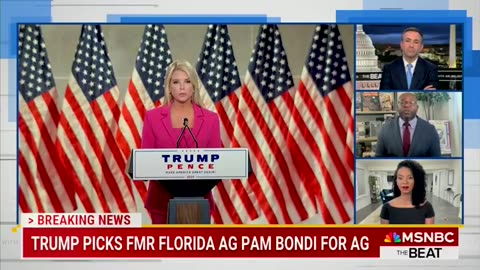 MSNBC guest melts down over Trump picking Pam Bondi as the next Attorney General