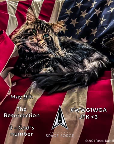 #STORM 🇺🇸 Cleansing 🇨🇭 #WWG1WGA