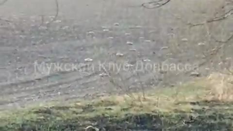 Ukraine War - The Armed Forces of Ukraine