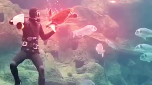 Amazing adventure Under Water