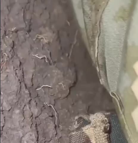 Ukrianian soldiers take hit in the trench