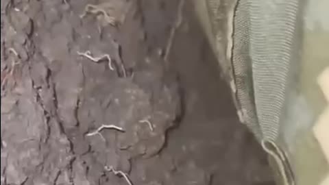 Ukrianian soldiers take hit in the trench