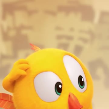 Don't touch my feathers!🐥 😡