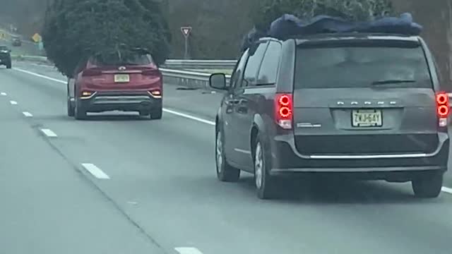 Megatree on Minivan
