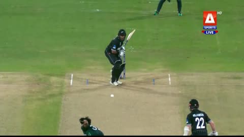 pak v NZ warm up match highlights