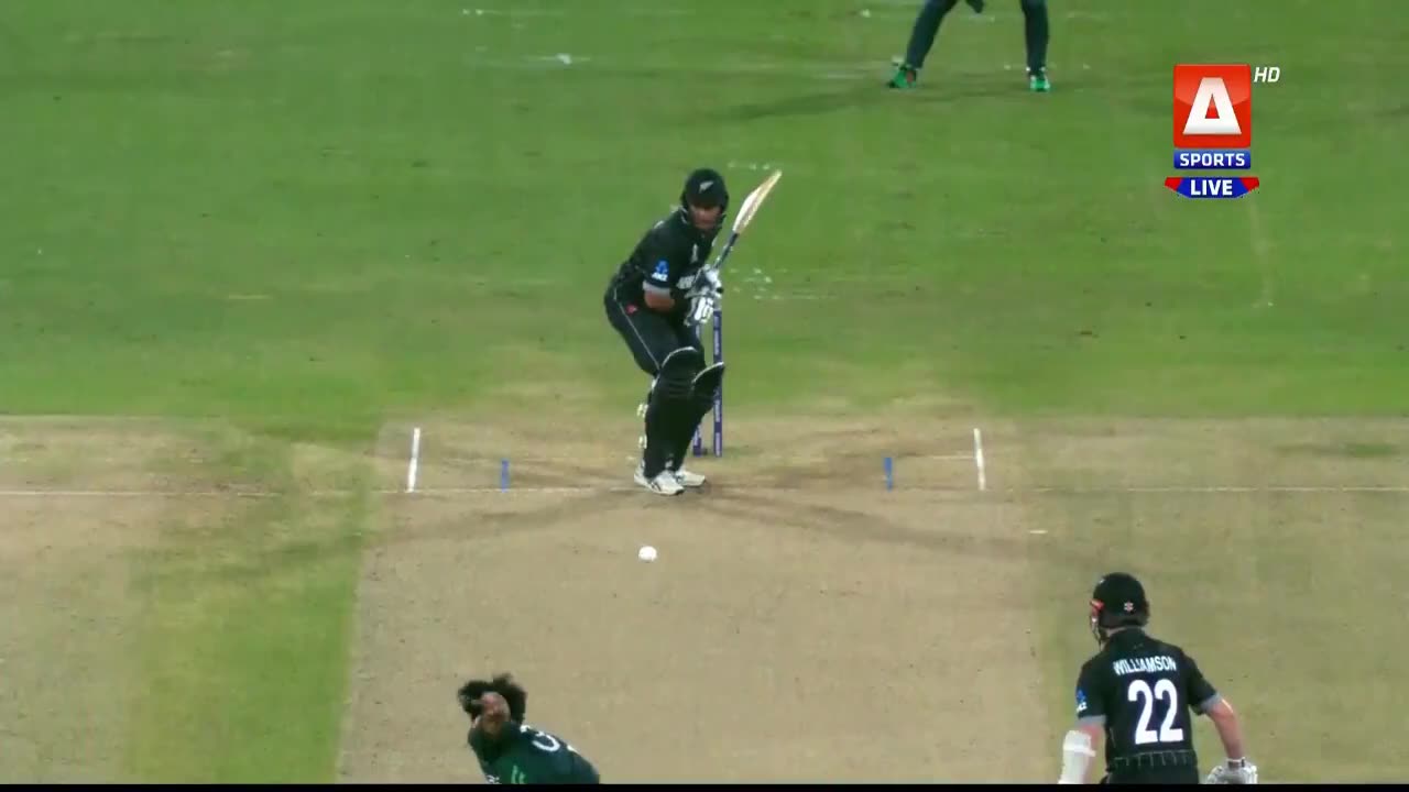 pak v NZ warm up match highlights