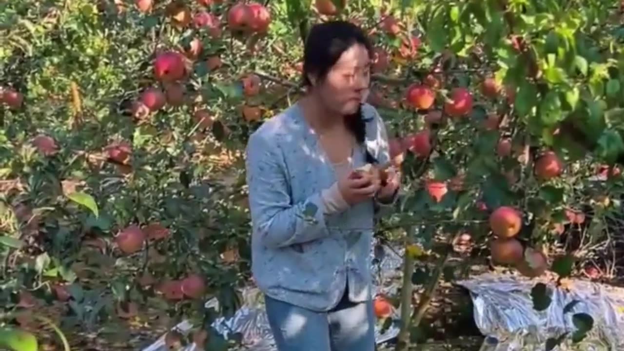 A story of husband and wife and Apple 🍎 😂 funny video Part-93 #shorts #funnyvideo #funny #comedy