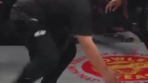 Revenge Knockout ! A Slap To Remember