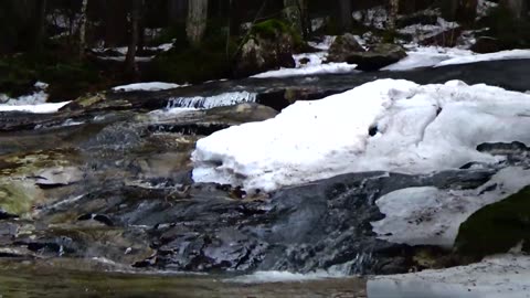 Cascades