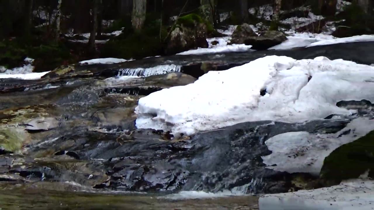 Cascades