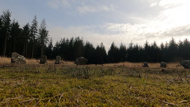 Ancient stone circle in a forest. DARTMOOR. GOPRO.