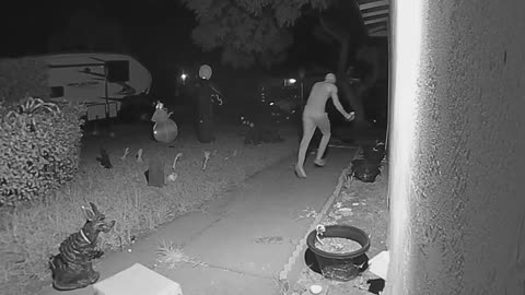 Doorbell Cam Catches Candy Thief in the Act