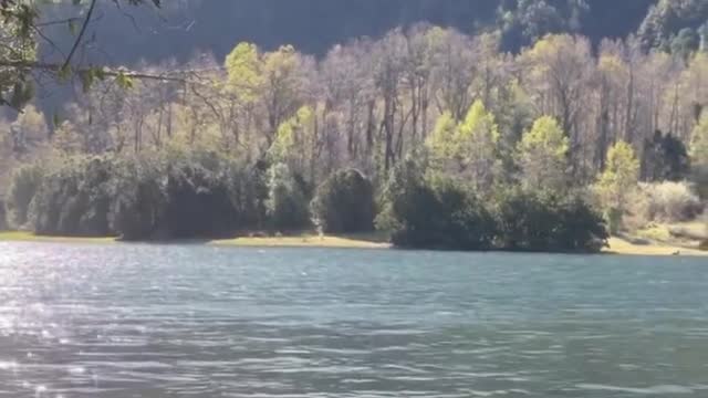 They ghosted up the smooth waters of the river.