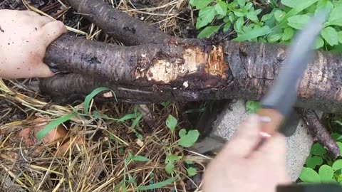 Knife making form old file