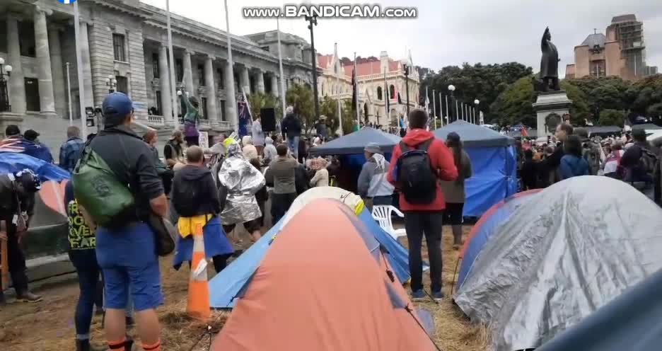 NZ Protestor: "Let them See your PEACE!"