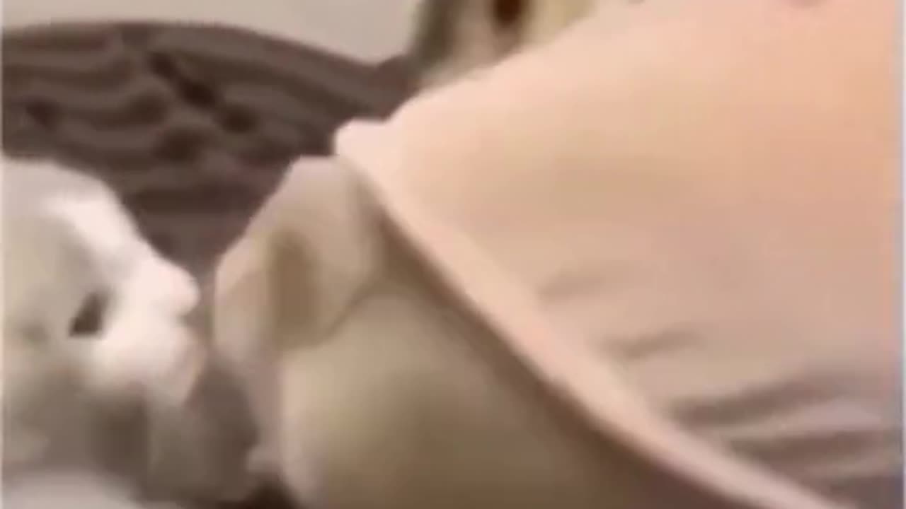 Funny