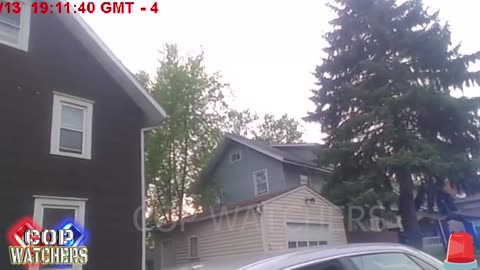Police K-9 Takes Down Driver After He Chooses The Wrong Option