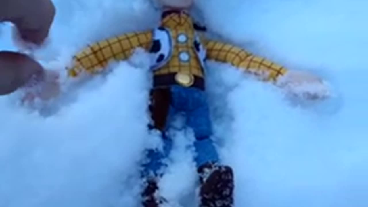 woodys hide and seek 1