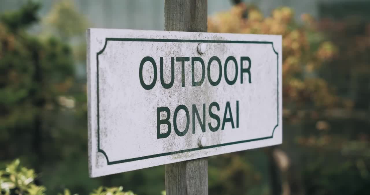 Bonsai Trailer 2019 - Documentary Featuring Peter Chan, Eric Danot & Joseph Rozek