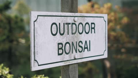 Bonsai Trailer 2019 - Documentary Featuring Peter Chan, Eric Danot & Joseph Rozek