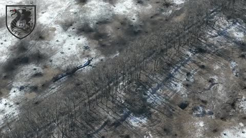 +18 Disturbing Video showing dead and wounded