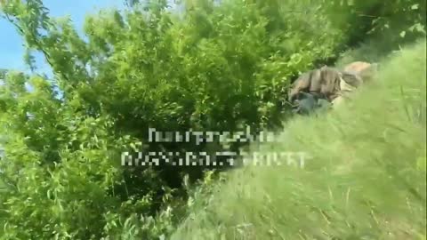 Ukrainian Infantry Engage Russian Infantry In Wood Line Battle