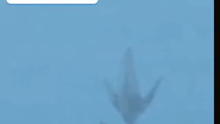 Real ou Fake? 🤔😱🛸