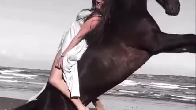 Beautiful Girl in the Horse