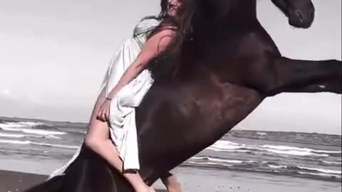 Beautiful Girl in the Horse