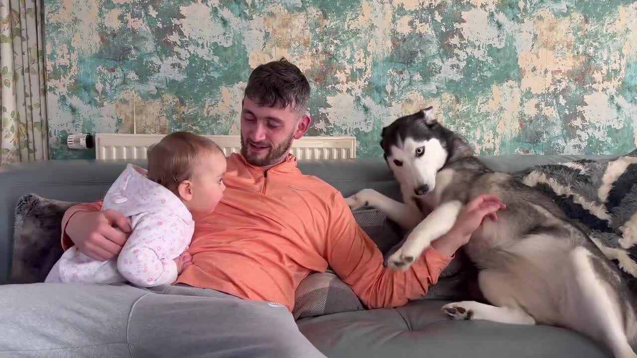 Adorable Jealous BABY Refuses To Let Husky Cuddle Dad!😭. [CUTEST VIDEO EVER!!!!!]