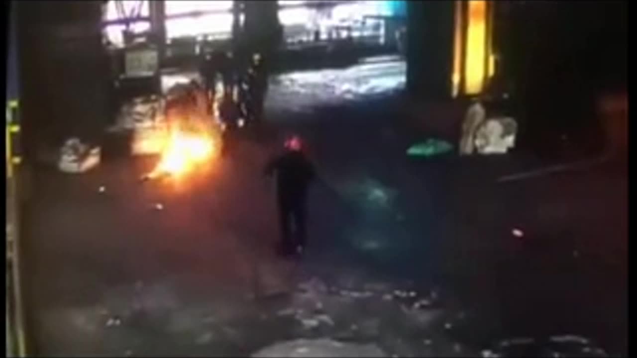 Fireball Pitbull
