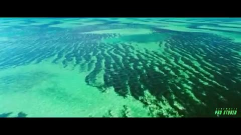 MOANA_Live_Action_-_Official_Trailer__2024__Zendaya,_Dwayne_Johnson___D(360p)